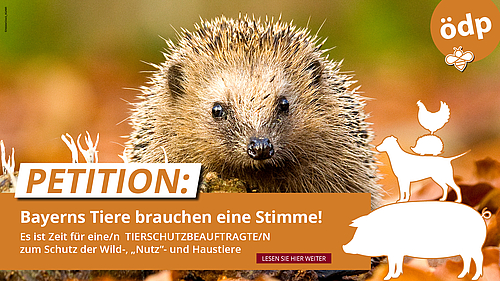 Bayerns Tiere brauchen eine Stimme! Die ÖDP setzt sich daher dafür ein, dass die Bayerische Staatsregierung eine Tierschutzbeauftragte bzw. einen Tierschutzbeauftragten einsetzt.